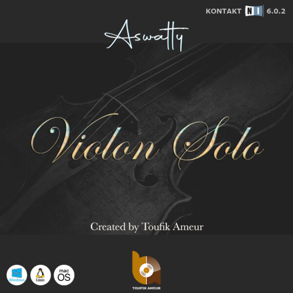 Violon Solo